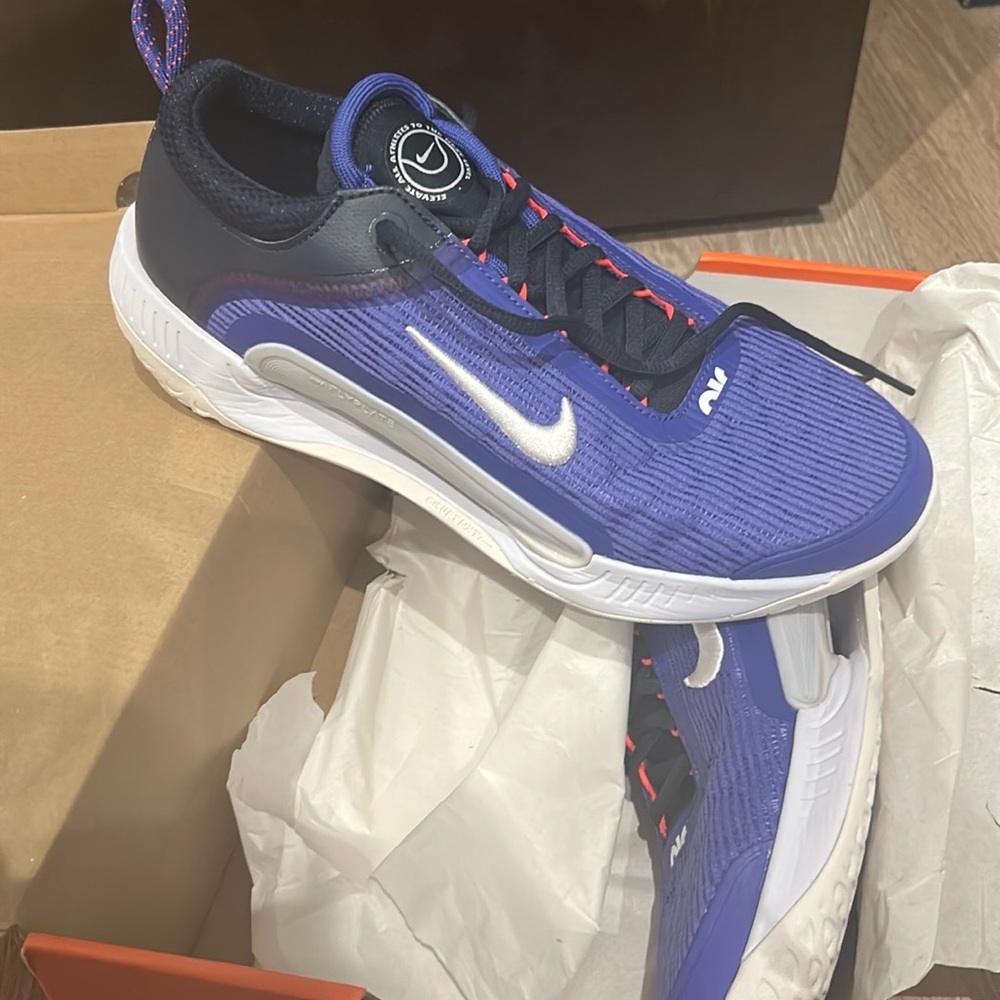 Nike Zoom Court NXT tennis shoes